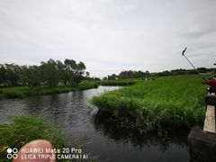 -黑龙江扎龙生态旅游区