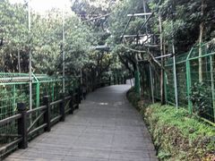 -树山生态村