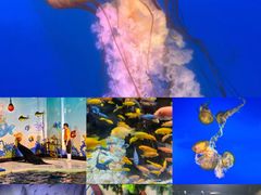 -太平洋海底世界