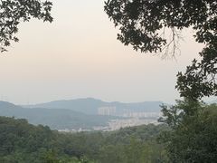 -火炉山森林公园