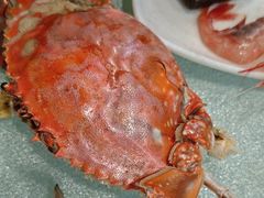 -钱库里海鲜自助(唐山街店)