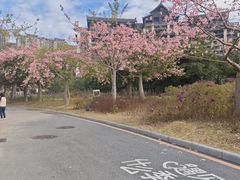 -清远熹乐谷温泉度假酒店