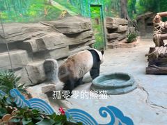 -灵玲国际马戏城