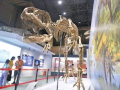 -国家自然博物馆