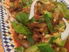 -柴窝堡22号辣子鸡·传承新疆菜