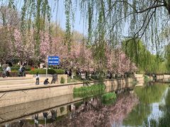 -海棠花溪(元大都城垣遗址公园)
