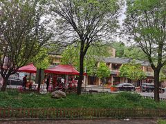 -黑河国家森林公园