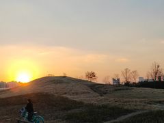 -白鹭湾湿地公园