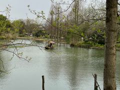 -西溪国家湿地公园