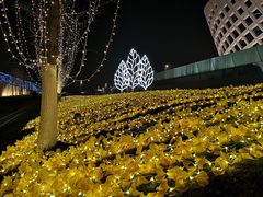 -南京国际青年文化中心