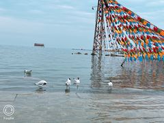 -青海湖国家重点风景名胜区