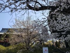 -上野公园花园稻荷神社(忍岡稲荷神社)