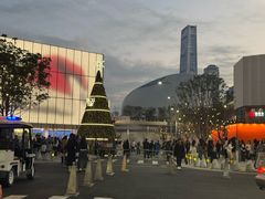 -深圳湾万象城(南山店)