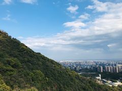 -杭州半山国家森林公园