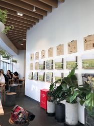 -悦诗风吟innisfree