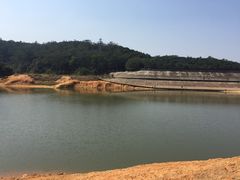 -东莞市大岭山森林公园