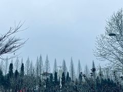 -井冈山革命烈士陵园