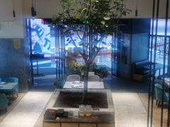 -大树餐厅(红旗街万达店)