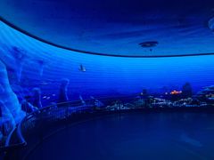 -芜湖新华联大白鲸海洋公园