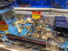 -龙庭华宴·粤菜·早茶