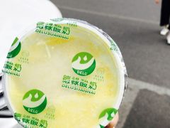 -德禄酸奶(莫家街店)