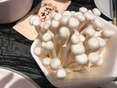 菌类拼盘-大渔小鲜火锅店