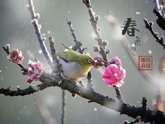 -南国桃园旅游度假区