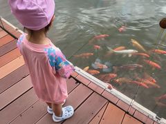 -春晖园度假酒店温泉