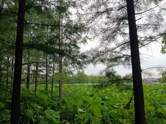 -云龙湖旅游景区