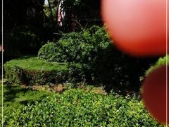 -烟台山景区