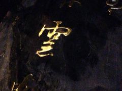 -【朵云轩艺术中心】博洛尼亚插画展·中国巡展·上海站