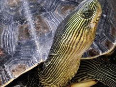 -东天目山风景区