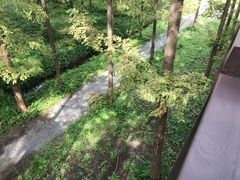 -黄海国家森林公园