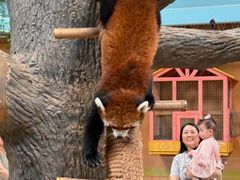 -石家庄市动物园