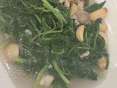 -金华安大酒楼·老牌潮菜·粤式茶点(东方国际店)