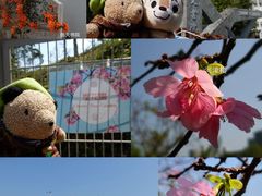 -大埔公路-马料水段香港中文大学(公交站)