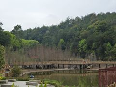 -神光山国家森林公园