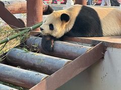 -杭州野生动物世界