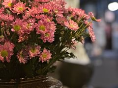 -Apollo·西班牙小酒馆(安福路店)