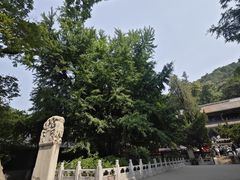 -潭柘寺景区