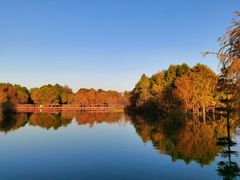 -贡湖湾湿地公园