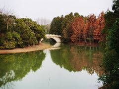 -上海海湾国家森林公园