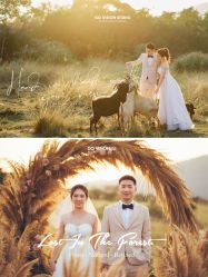 -GO VISION 动视觉婚纱摄影高级定制