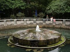 -成都市活水公园
