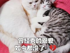 -谐和贝康宠物医院24小时·宠保定点(急重症转诊中心)
