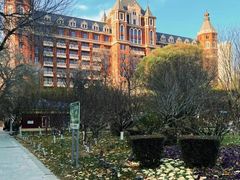 -桃花堤公园