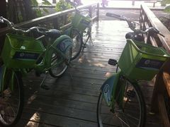 照片&nbsp;016-大湾区中央湿地公园
