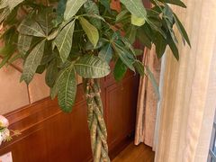 -金时代顺风大酒店(金山店)