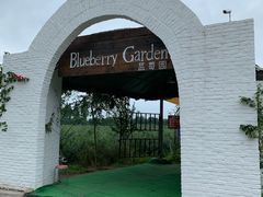 -金谷域澳洲庄园