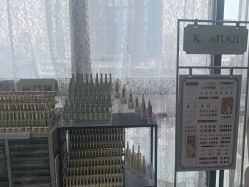 -LUNA皮相美·骨相美高级美感